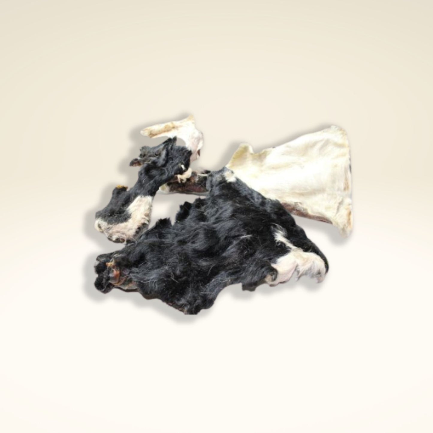 Peaux de bovins avec fourrure